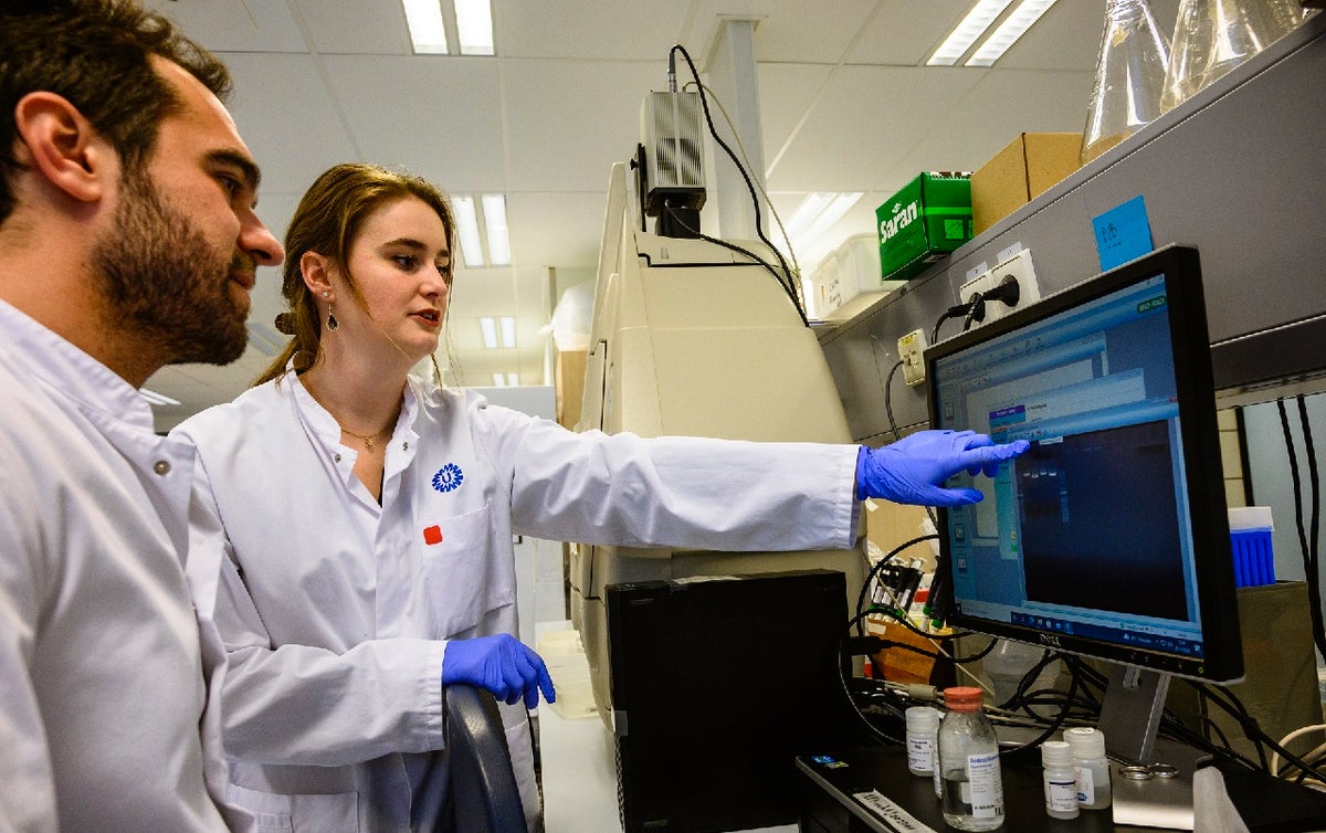 Laboranten in het loboratorium bekijken computerbeeld