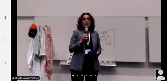 Screen capture of one of the participants