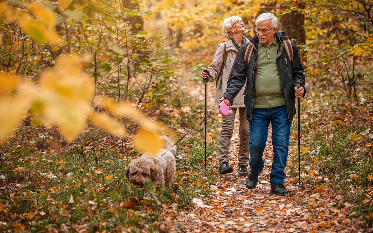 Oudere man en vrouw lopen met een hond door het bos.