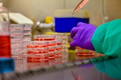 Beter begrijpen hoe medicijnen onze hersenen bereiken