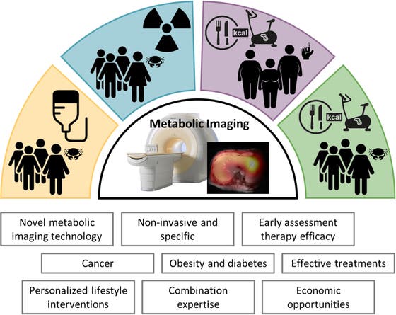 Infographic over het MAESTRO-project. Metabolic imaging staat in het midden, met eromheen de woorden: Novel metabolic imaging technology, non-invasive and specific, early assessment therapy efficacy, cancer, obesity and diabetes, effective treatments, personalized lifestyle interventions, combination expertise, economic opportunities.