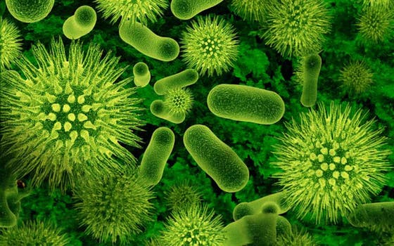 Different microbes