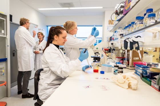 Lab met onderzoekers en biomateriaal
