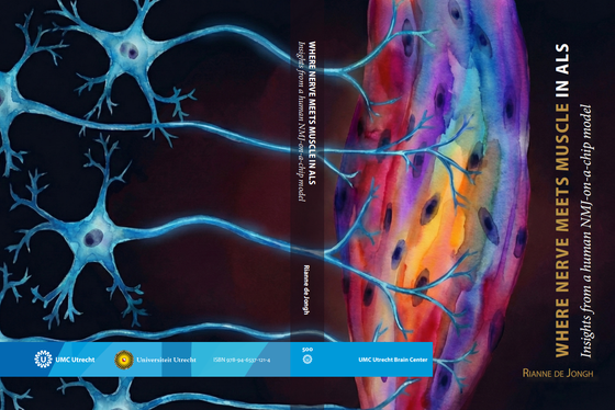 De cover van het proefschrift van Rianne de Jongh, getiteld ‘Where nerve meets muscle in ALS’, met daarop het nummer 500.