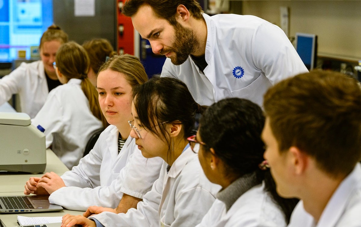 Docent begeleidt studenten