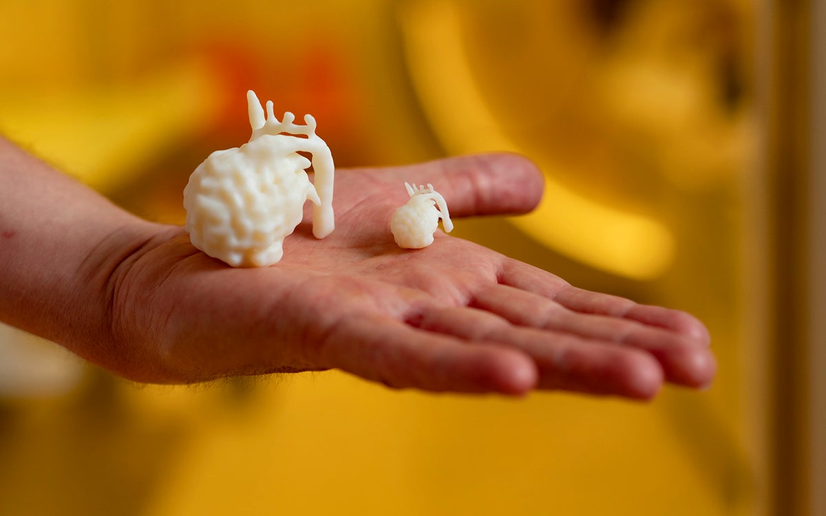 3D geprint hartje