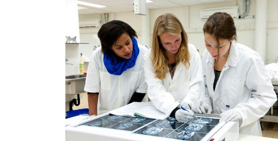 Drie onderzoekers in overleg