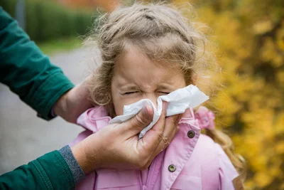 Darmen belangrijk voor de afweer tegen terugkerende verkoudheid