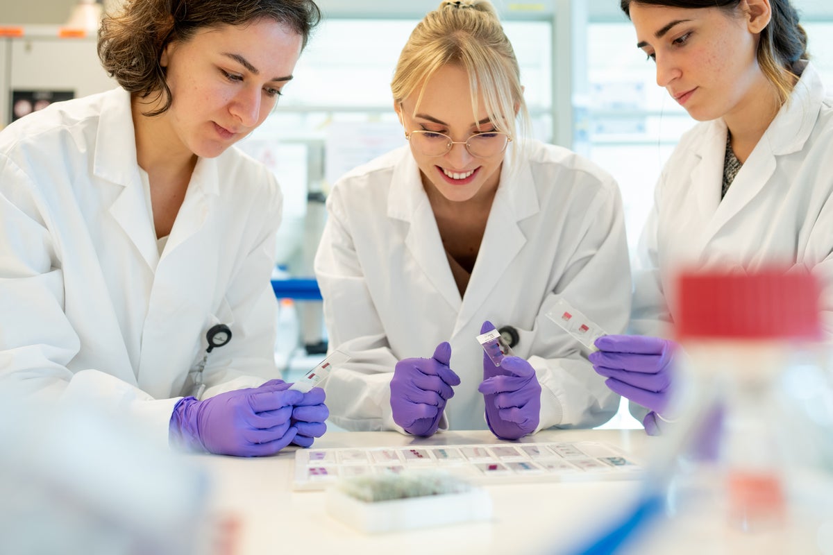 Negen onderzoeksteams ontvangen ZonMw-subsidie 