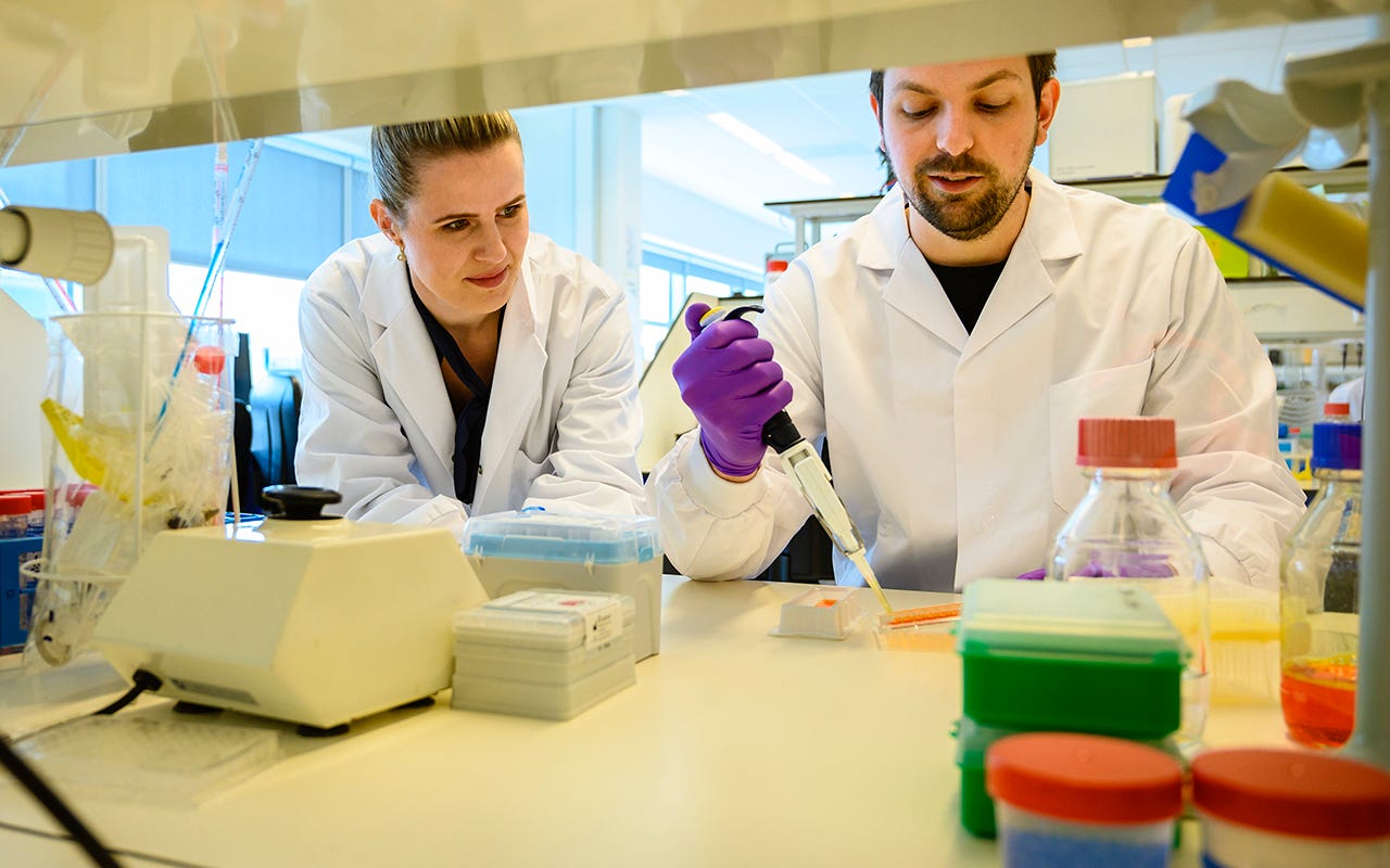 Laboranten aan het werk