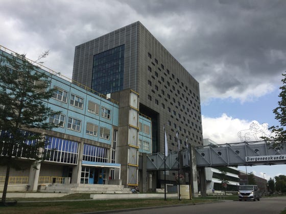 Alexander Numangebouw aan de Yalelaan 50, Utrecht