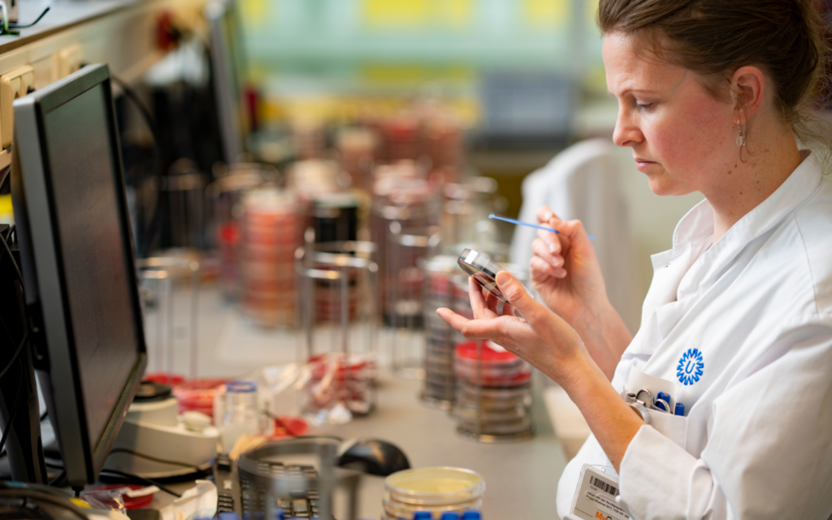 Onderzoeker in een laboratorium houdt een petrischaaltje en een stokje vast en kijkt in het schaaltje.