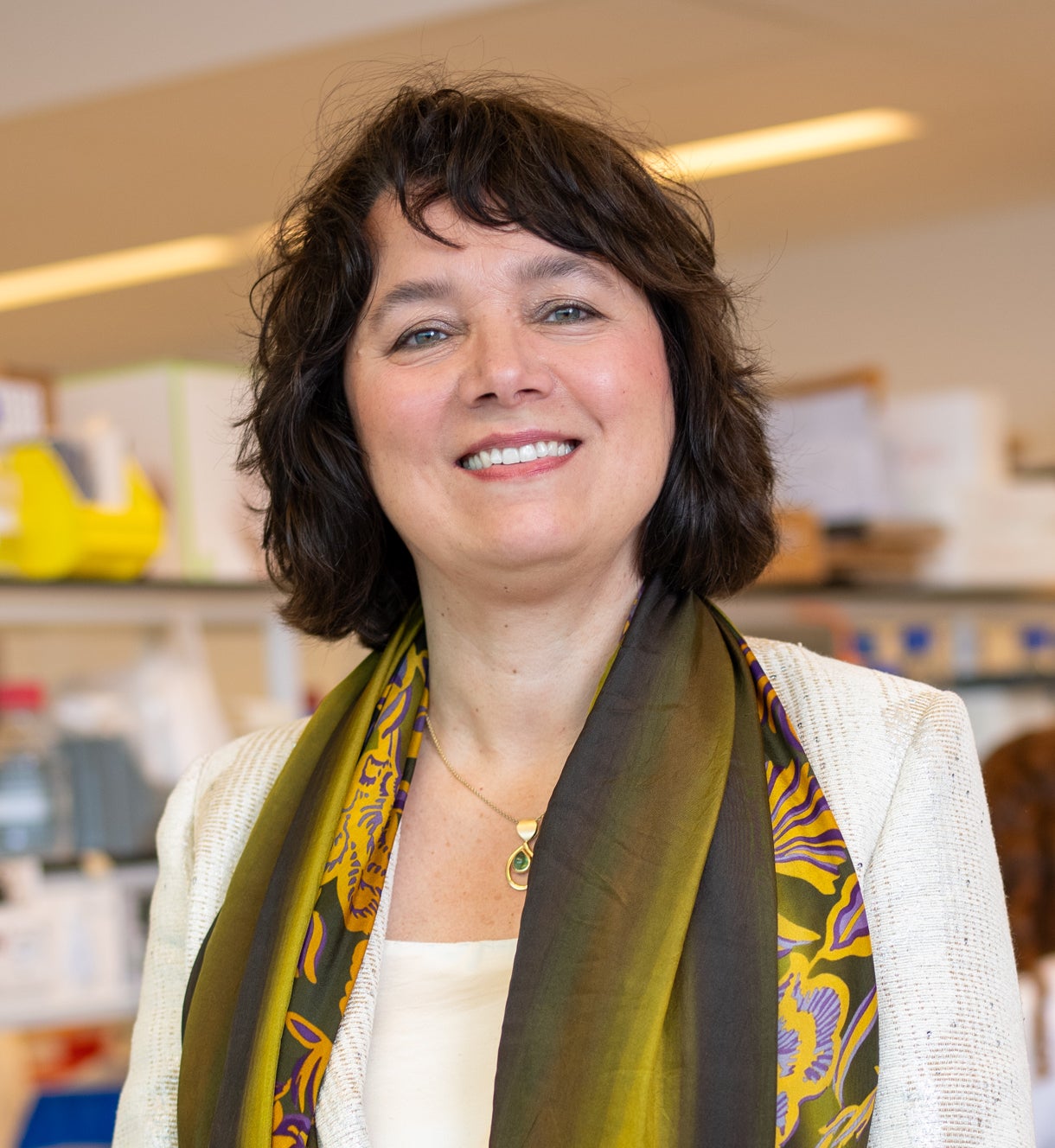 Marianne Verhaar - internist-nefroloog en hoogleraar Experimentele Nefrologie UMC Utrecht