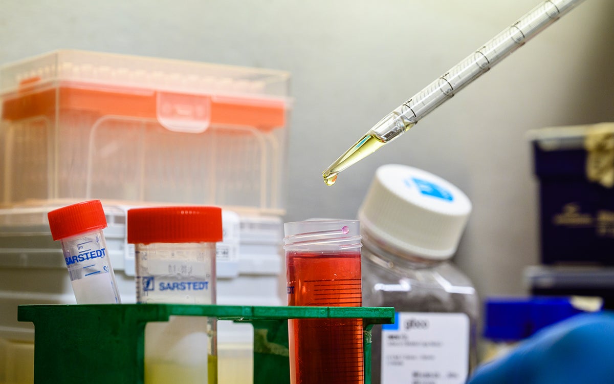 Buisjes pipetteren voor research