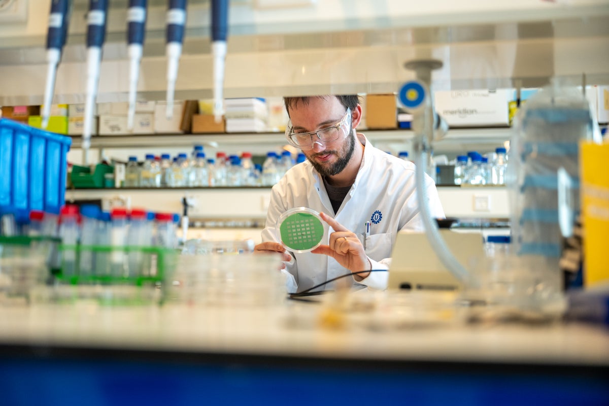 Een man in een laboratoriumjas die een groene cirkel vasthoudt