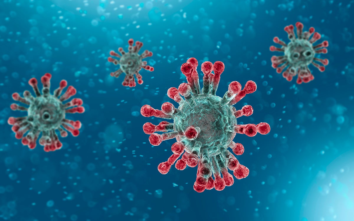 corona virus