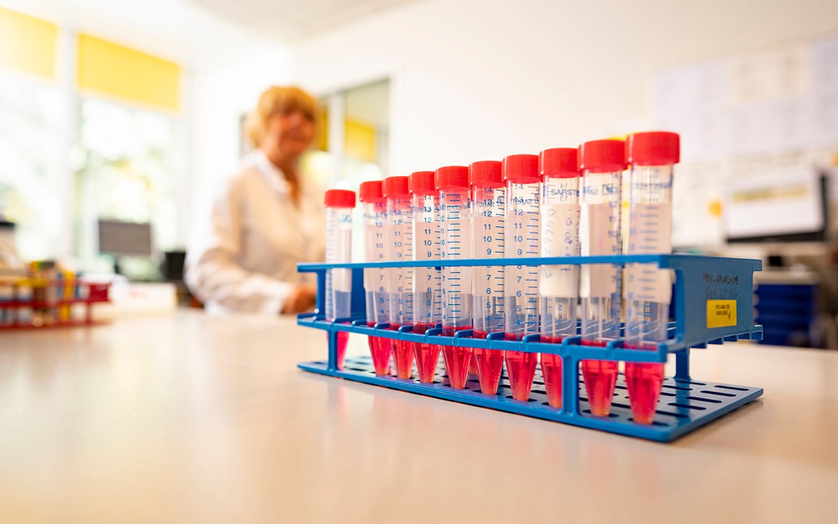 laboratorium